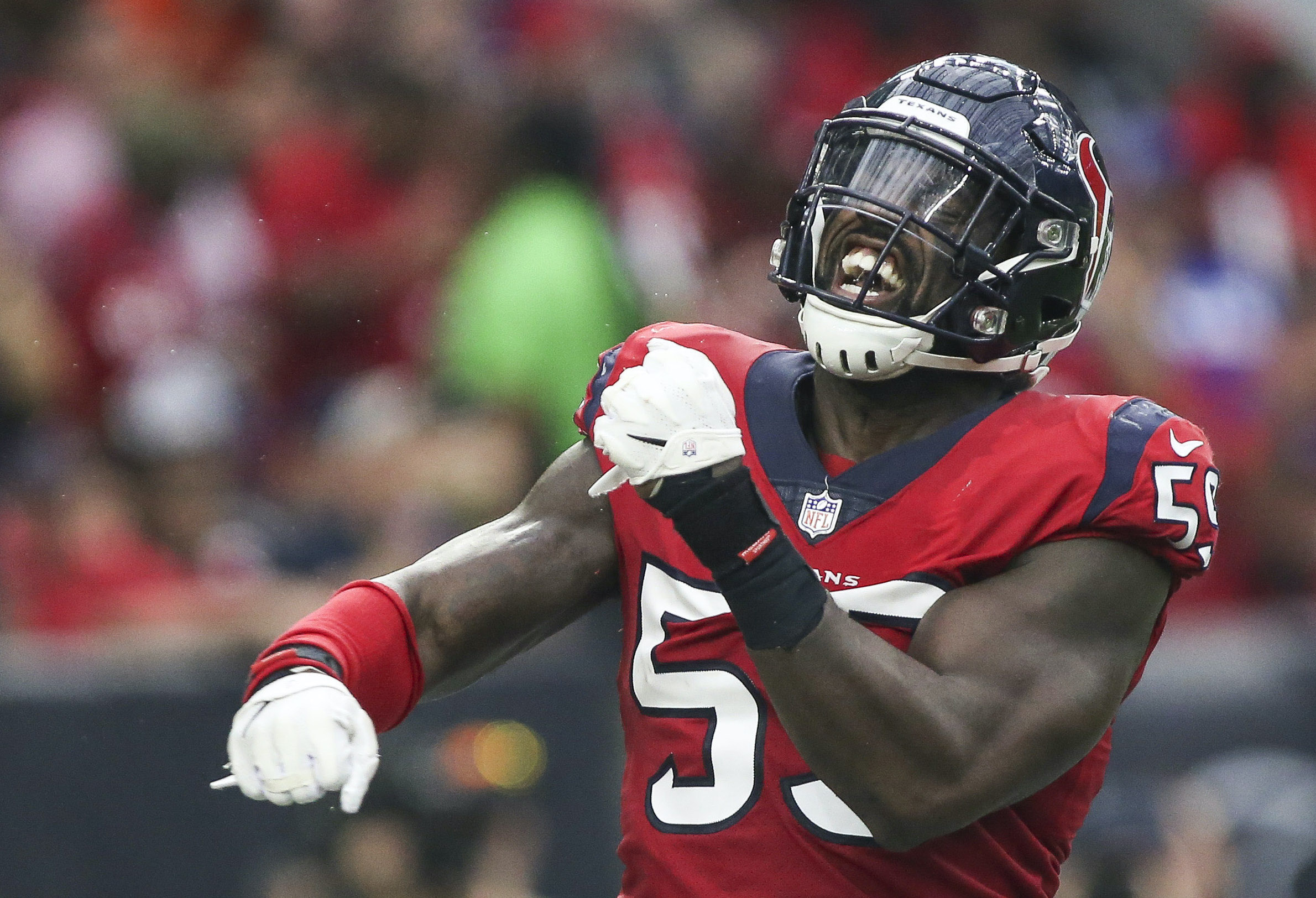 Whitney Mercilus